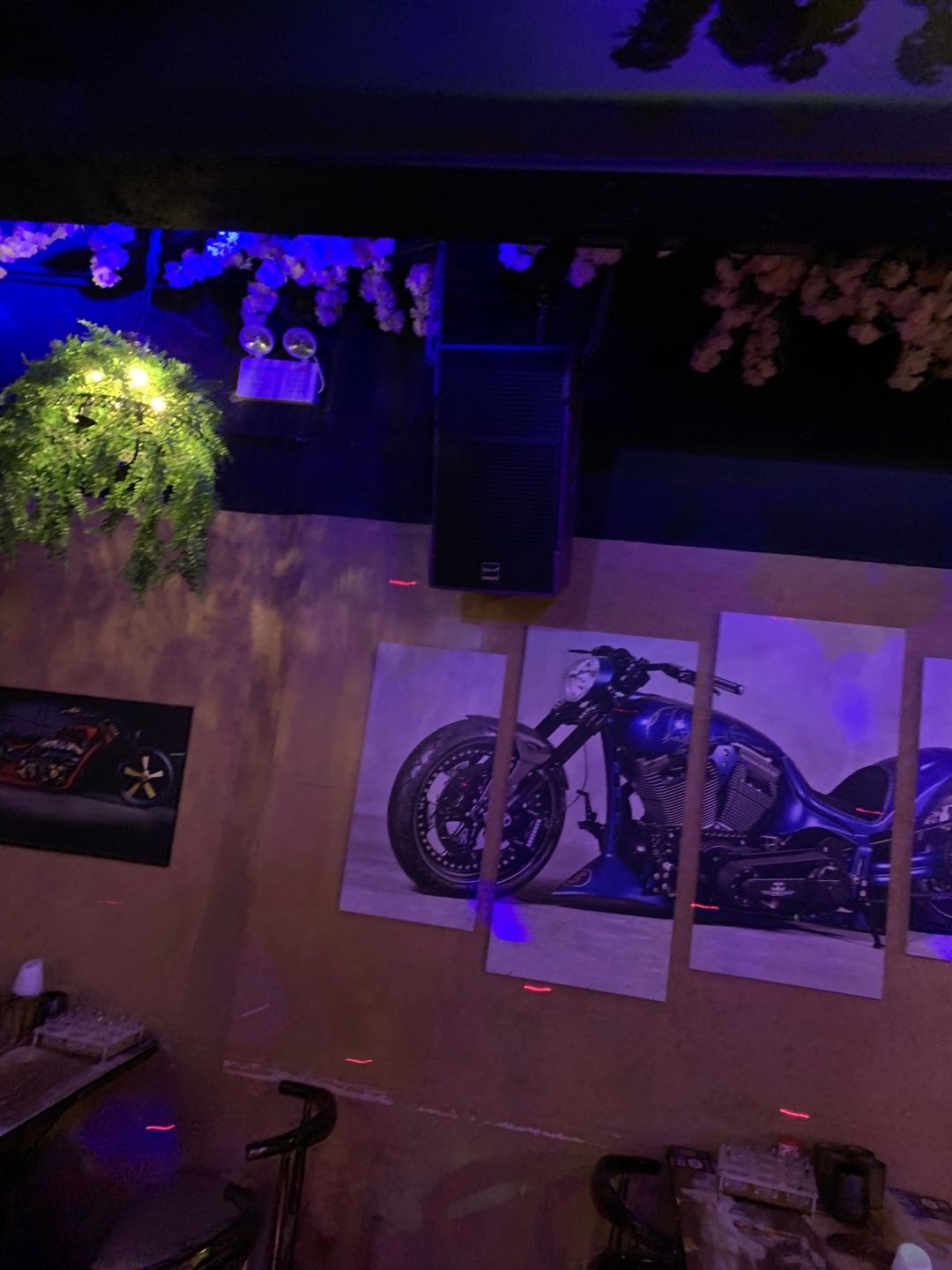 海南海口花朵朵音乐餐吧