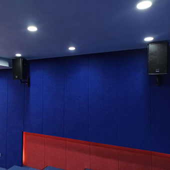 湖北武汉某集团单位报告厅